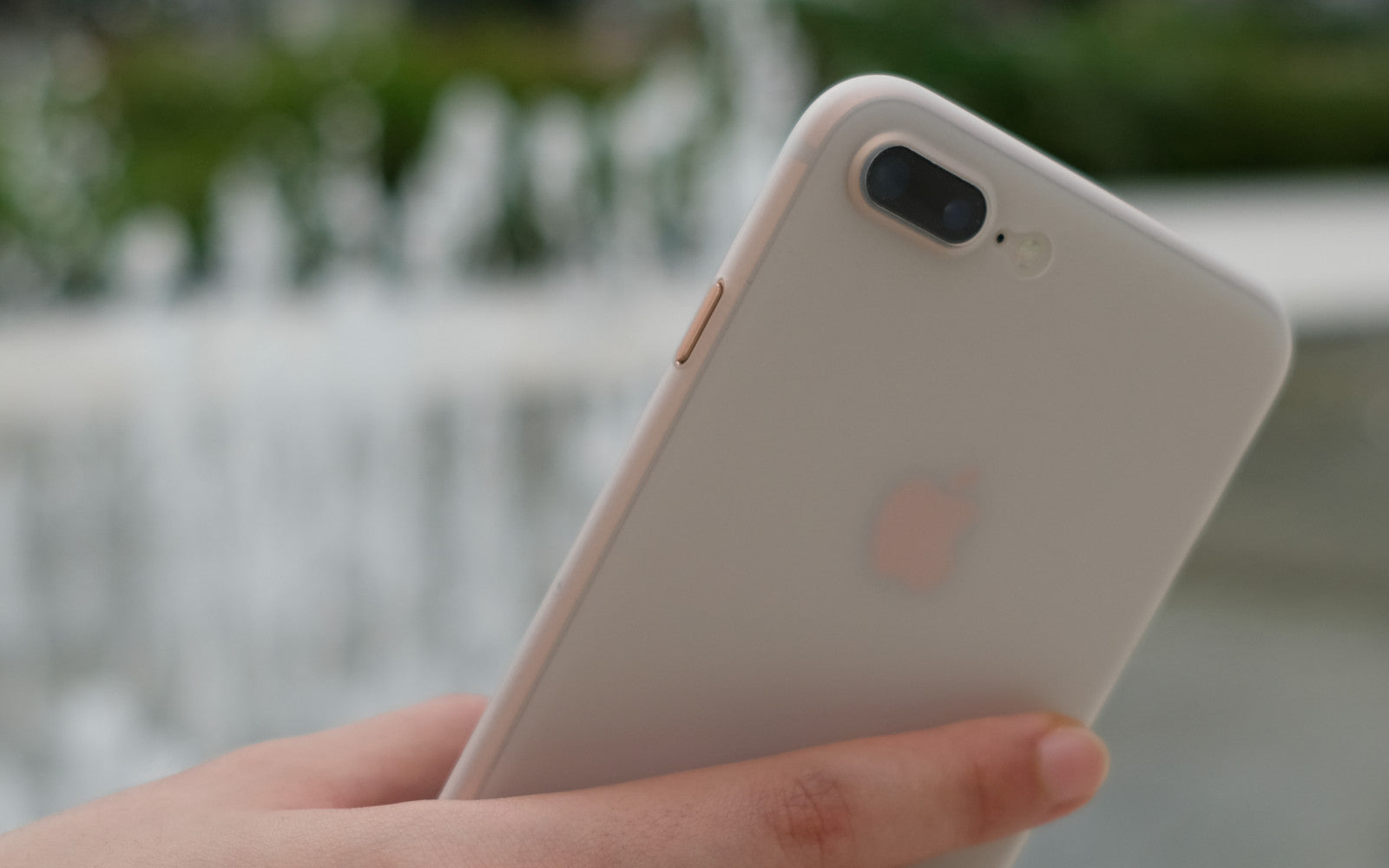 iPhone 8 & 8 Plus Cases