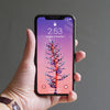 Bare Pane - Ion Strengthened Tempered Glass Full Coverage Edge to Edge Screen Protector for iPhone X - On iPhone XS Max Front